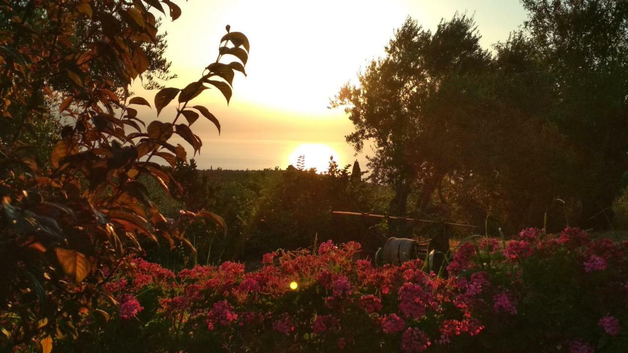 Aiolos Kalamaki  Buitenkant foto